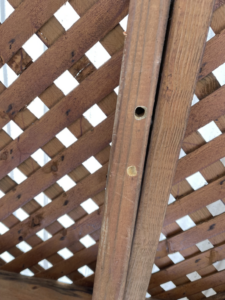 A close-up of a wooden lattice structure with a drilled hole, indicating potential repair or installation work by AnderCall Professional Services LLC in Seaford, DE.