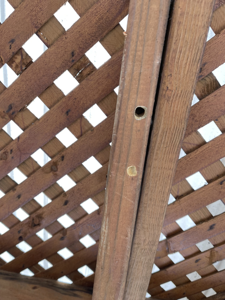 A close-up of a wooden lattice structure with a drilled hole, indicating potential repair or installation work by AnderCall Professional Services LLC in Seaford, DE.