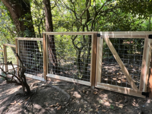Close-up of a newly installed wooden and wire mesh fence gate by Balance Painting & Remodeling, LLC in Portland, OR.