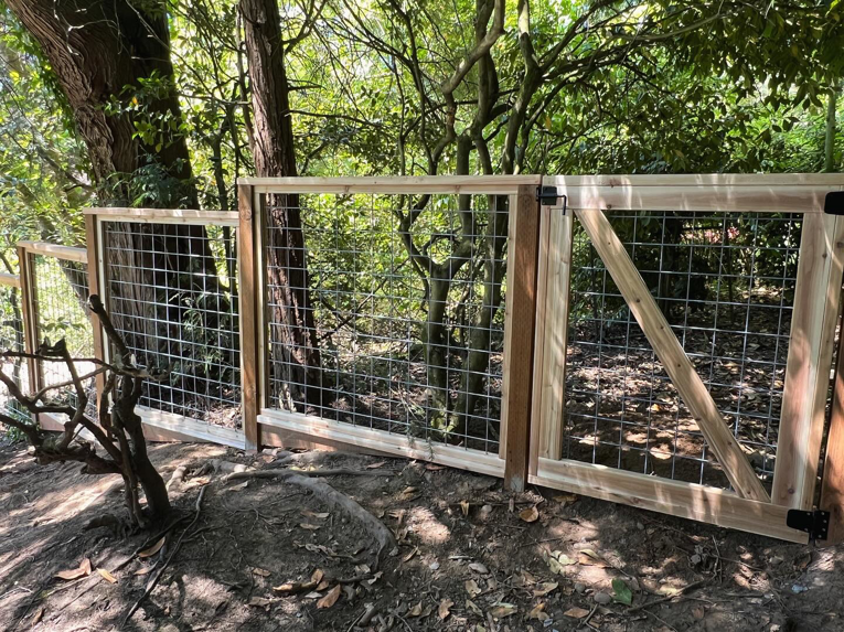 Close-up of a newly installed wooden and wire mesh fence gate by Balance Painting & Remodeling, LLC in Portland, OR.