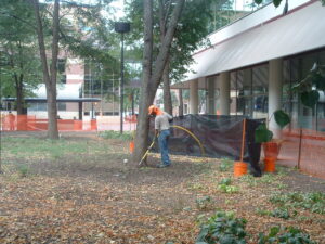 A tree service worker using an air spade to clear soil around tree roots for Arborscape Tree Care in Ankeny, IA.