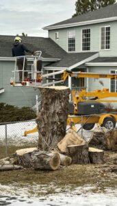 A worker in a boom lift basket near a large tree stump, likely for removal or cleanup by PJ's Tree Service in Missoula, MT.