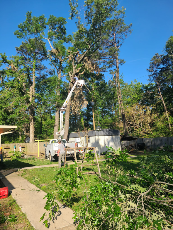 A worker operating a boom lift truck for tree trimming or removal services by Edgar's Tree Service & Demolition in West Monroe, LA