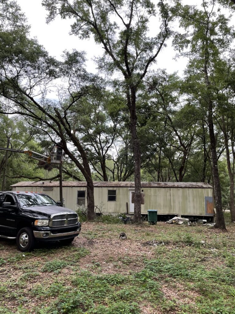A worker in a boom lift trimming a tree next to a mobile home for Tates Tree Service in Shalimar, FL.