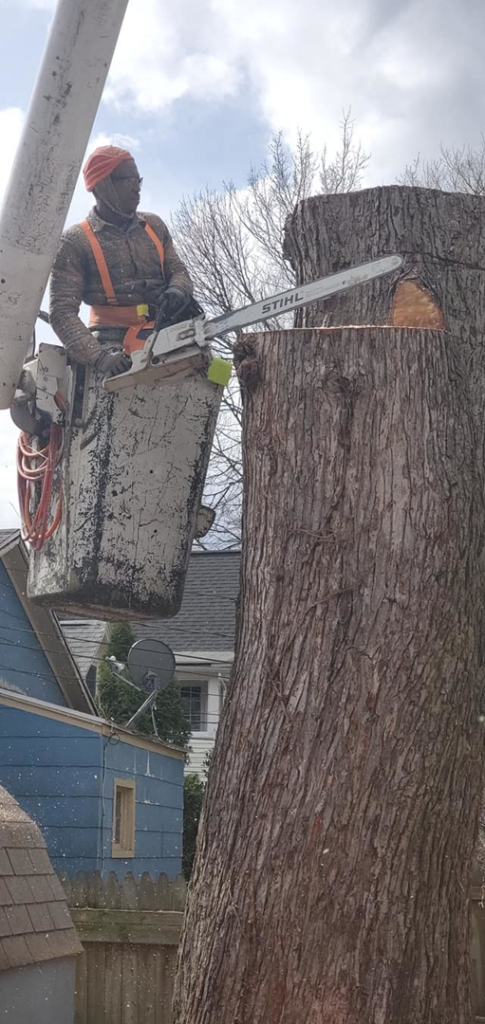 A worker in a bucket lift using a chainsaw for tree removal at WoodChuck Tree Service in Rochester, NY.