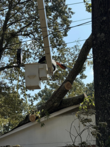 A tree service worker in a bucket lift using a chainsaw to cut a tree branch from a roof by Triple J Tree Service, LLC in Tuscaloosa, AL.