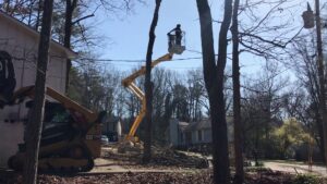 Worker in a bucket lift trimming trees near power lines and a house, performed by Jon's Tree Service in Pelham, AL.