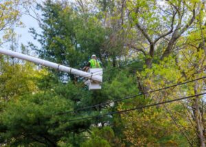 A worker in a bucket lift carefully trimming a tree near power lines, a specialized service by Mobile Tree Removal Services in Mobile, AL.