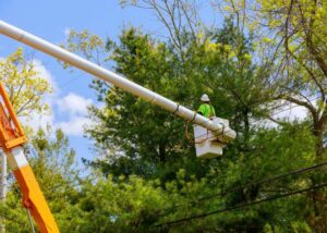 A worker in a bucket lift trimming a tree near power lines, a service by Pittsburgh Tree Trimming & Removal Service in Pittsburgh, PA.