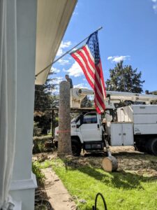 A worker in a bucket truck performing tree removal next to a partially removed trunk for Douglas Tree & Property Service in Lancaster, PA.