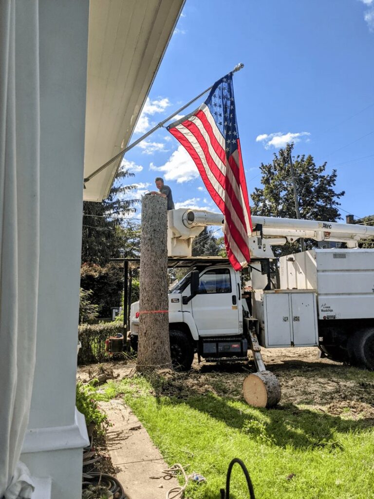 A worker in a bucket truck performing tree removal next to a partially removed trunk for Douglas Tree & Property Service in Lancaster, PA.