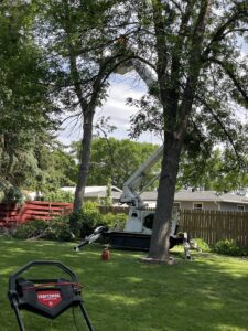 A worker in a bucket truck performing tree trimming services in a residential backyard for Dakota Tree Company in Aberdeen, SD