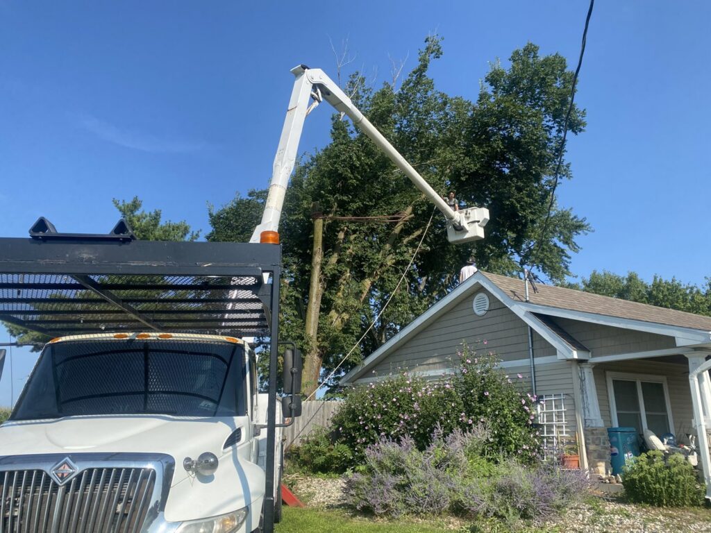 A worker in a bucket truck trimming a tree near power lines and a house for Crockett's Tree Service in Lafayette, IN.