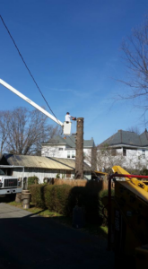 A professional tree service worker in a bucket truck performing tree trunk removal for Urban Forestry, Inc. in Vinton, VA.