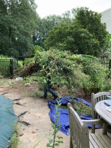 A worker carrying a large pile of brush and debris, showcasing efficient cleanup after tree service by Victor Solis Tree Service in Norfolk, VA.