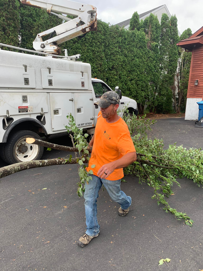 A tree service worker carrying a large tree branch after trimming, with a bucket truck in the background, by G & C Tree Service LLC in Schenectady, NY.