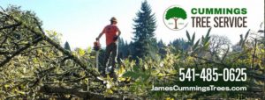 A worker with a chainsaw clearing cut branches, demonstrating tree service work by Cummings Tree Service in Eugene, OR.