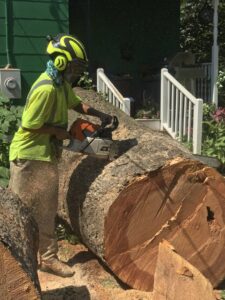 A tree service worker using a chainsaw to cut a large log on the ground for 706 Tree and Stump in Augusta, GA.