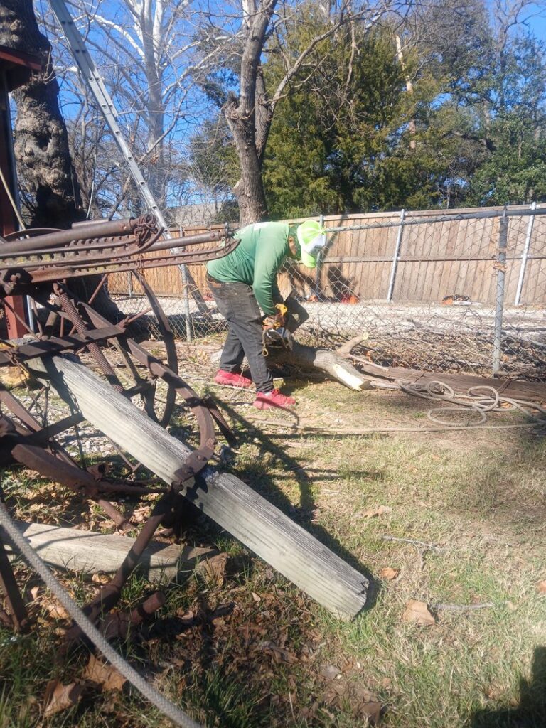 A tree service worker using a chainsaw to cut a log on the ground for Mario's Stump Grinding and Tree Service LLC in Dallas, TX.
