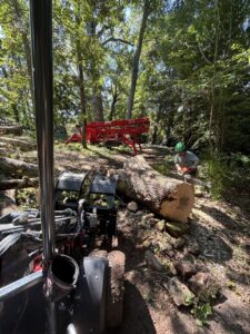 A Signature Tree Service worker using a chainsaw to cut a large log on the ground in Greenville, SC.