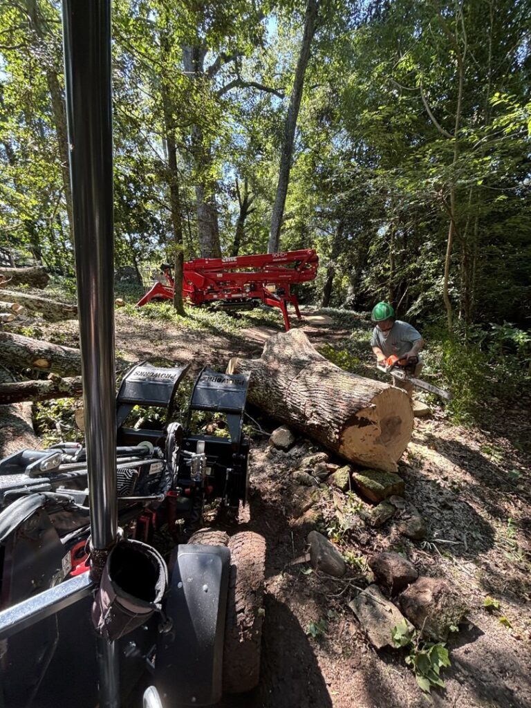 A Signature Tree Service worker using a chainsaw to cut a large log on the ground in Greenville, SC.
