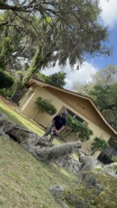 A worker using a chainsaw to cut a large log covered in Spanish moss, part of tree removal by Souza & Son's Tree Service in Jacksonville, FL.