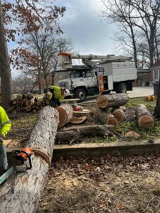 A worker using a chainsaw to cut large tree trunks into smaller sections with a bucket truck in the background by Raptors Tree Service LLC in Hammond, IN.