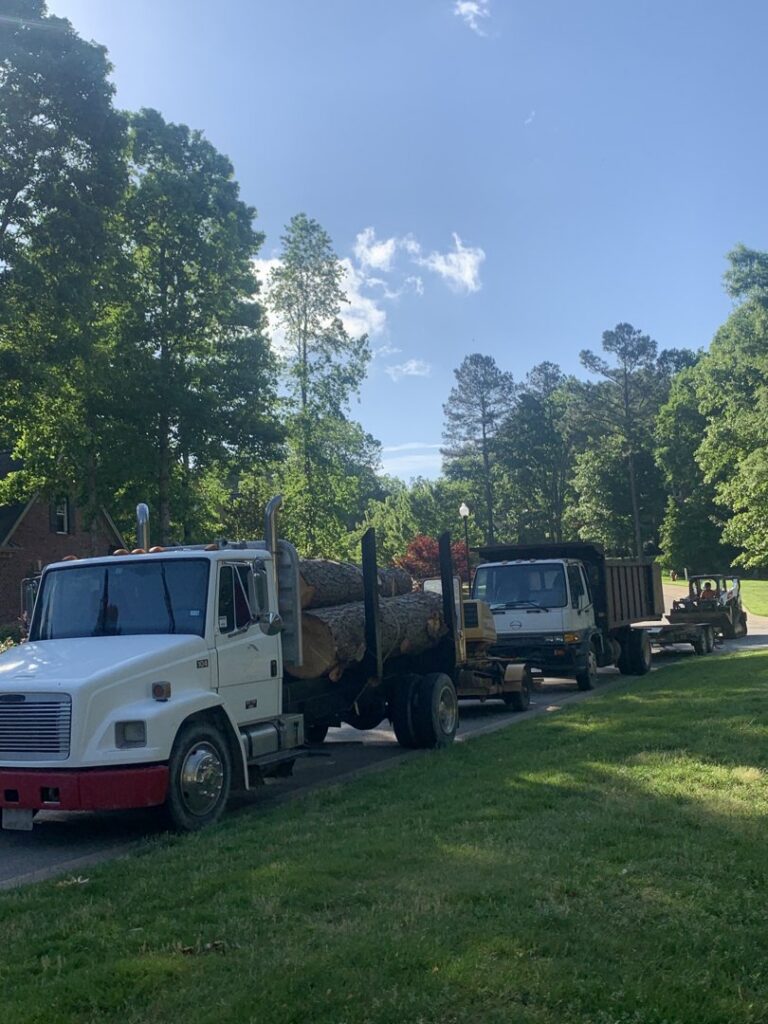 A worker using a chainsaw to cut logs, surrounded by wood debris from tree service by Rigoberto peraza in Atlanta, GA.