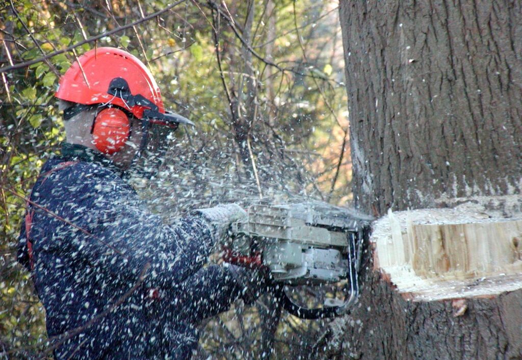 A worker in safety gear using a chainsaw to cut a tree trunk for PJ's Tree Service in Missoula, MT.