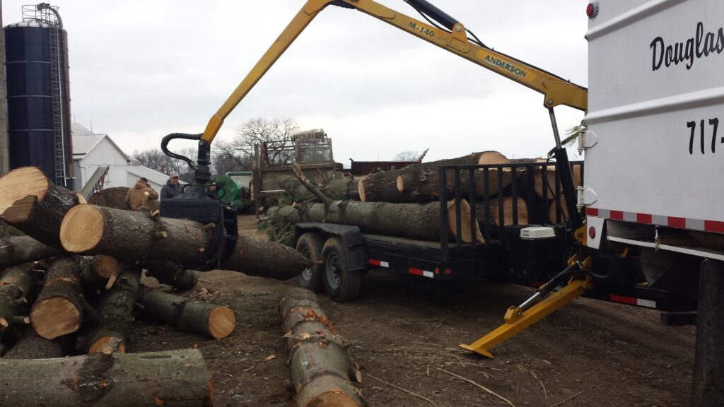 A worker using a chainsaw to cut a large tree trunk on the ground for Douglas Tree & Property Service in Lancaster, PA.