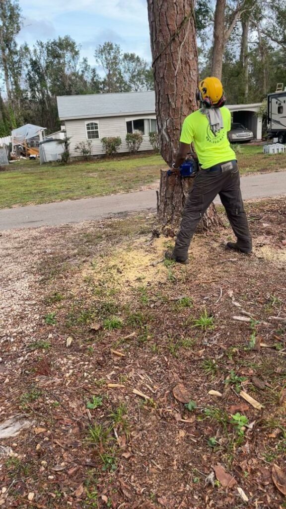 A worker in safety gear using a chainsaw to cut a tree trunk at Tates Tree Service in Shalimar, FL.