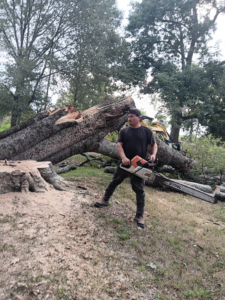A worker holding a chainsaw next to a large fallen tree and stump, indicating tree removal by Monterroso tree service in Little Rock, AR.