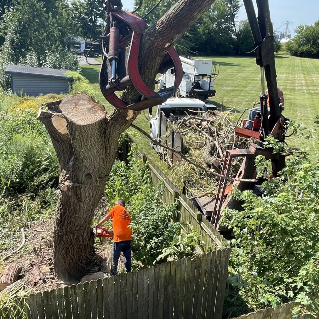 A worker using a chainsaw to cut a large tree trunk held by a grapple truck during removal by Crockett's Tree Service in Lafayette, IN.