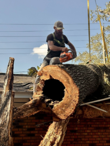 A tree service worker using a chainsaw to cut and remove a large fallen tree trunk from a house roof by Triple J Tree Service, LLC in Tuscaloosa, AL.