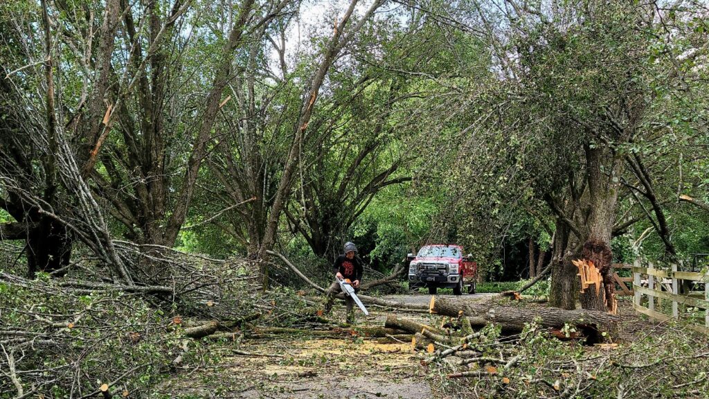 A worker using a chainsaw for storm cleanup and tree removal services by K.O. Tree Service in Charlotte, NC.