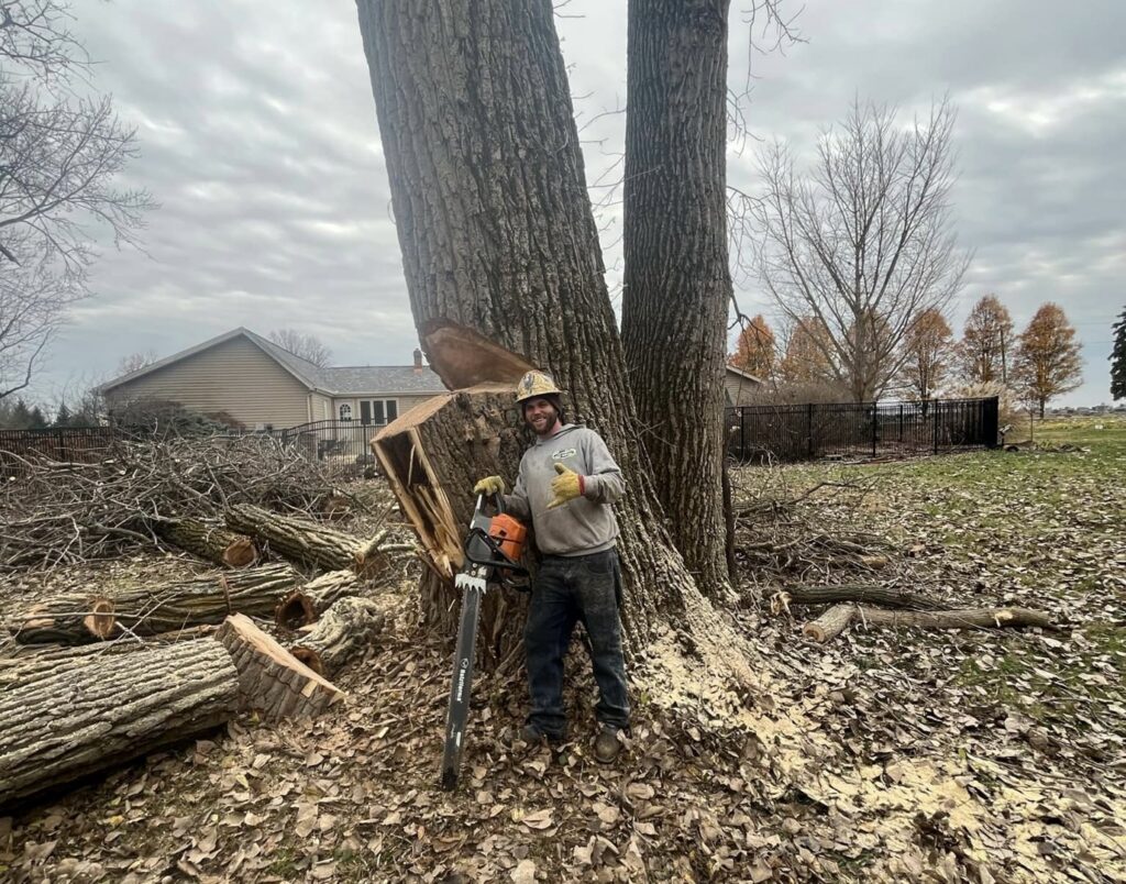 A worker with a chainsaw standing next to a large tree stump after removal by Crockett's Tree Service in Lafayette, IN.