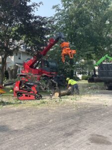 A worker using a chainsaw to cut a large tree trunk during cleanup by Flower City Tree in Rochester, NY.
