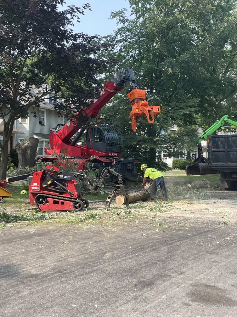A worker using a chainsaw to cut a large tree trunk during cleanup by Flower City Tree in Rochester, NY.