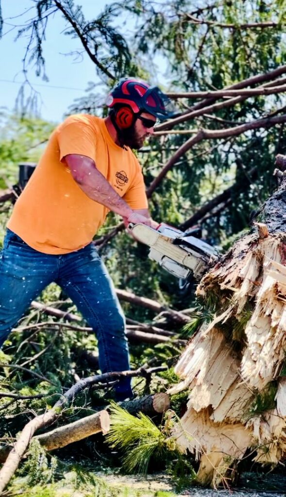 A worker using a chainsaw to cut a fallen tree trunk during cleanup by Snyder's Tree Service LLC in Fort Wayne, IN.