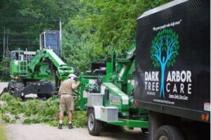 A skilled worker using a chainsaw to cut a fallen tree trunk for Dark Arbor Tree Care in Portland, ME.
