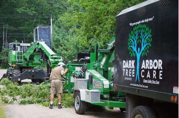 A skilled worker using a chainsaw to cut a fallen tree trunk for Dark Arbor Tree Care in Portland, ME.