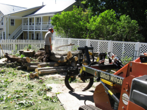A worker using a chainsaw to cut logs on the ground for Fagan Tree Service in Brunswick, ME.