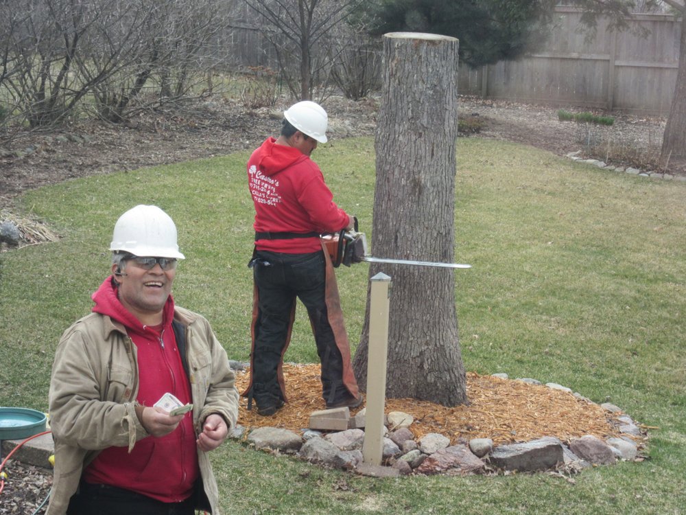 A worker from Castros Tree Service using a chainsaw to cut a tree stump in Spring, TX.