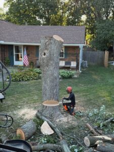 A tree service worker using a chainsaw to cut a tree stump in a residential yard for El tree service in Columbus, OH.