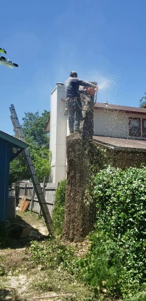 A JP'S Tree Service worker using a chainsaw to cut down a tree stump in Austin, TX, with wood chips flying.