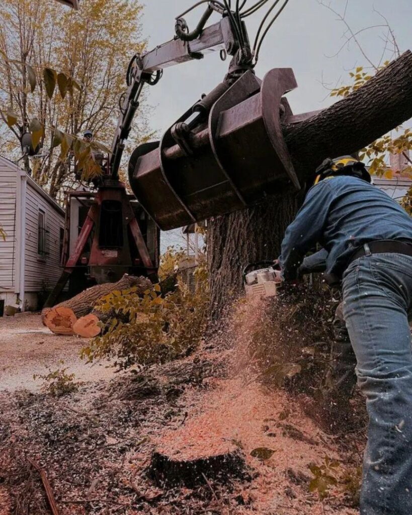 A tree service worker using a chainsaw to cut a tree trunk while a grapple truck assists with removal for El tree service in Columbus, OH.