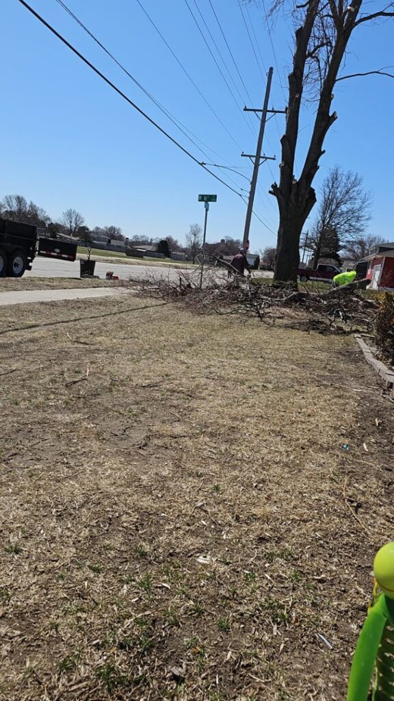 A worker clearing branches from the ground after tree service work by Grand Island Tree Service in Grand Island, NE.
