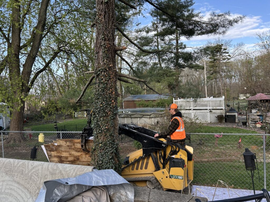 A worker operating a mini skid steer with a grapple attachment, clearing brush and small trees for Gray's Tree and Crane Service in Evansville, IN.
