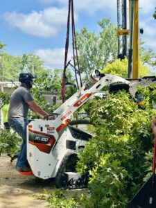 A worker clearing tree branches with a Bobcat MT100 loader for Snyder's Tree Service LLC in Fort Wayne, IN.