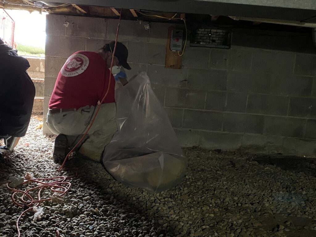 A worker preparing a crawl space for encapsulation or cleaning by The Basement Doctor in Reynoldsburg, OH.